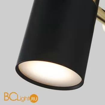 Настенный светильник Eurosvet Viero 20096/1 черный / золото - Фото 1