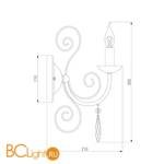 Бра Eurosvet Wispa 10094/1 золото/прозрачный хрусталь Strotskis - Схема