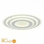 Потолочный светильник EvoLED Arzillo SLE501402-01 - Фото 1