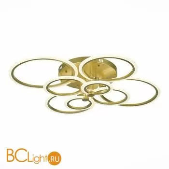 Потолочный светильник EvoLED Cerina SLE500522-08 - Фото 5