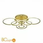 Потолочный светильник EvoLED Cerina SLE500522-08