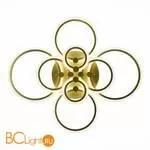 Потолочный светильник EvoLED Cerina SLE500522-08 - Фото 3