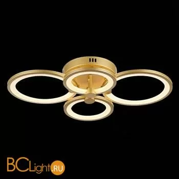 Потолочный светильник EvoLED Leto SLE200322-04 - Фото 5