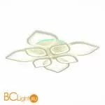 Потолочный светильник EvoLED Rita SLE501052-08RGB