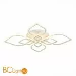 Потолочный светильник EvoLED Rita SLE500952-08 - Фото 0