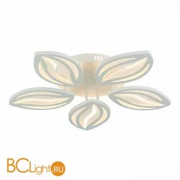 Потолочный светильник EvoLED Seteko SLE501352-05 - Фото 0