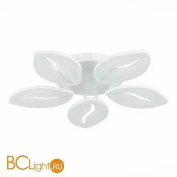 Потолочный светильник EvoLED Seteko SLE501352-05 - Фото 2