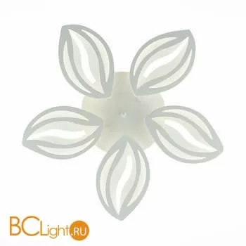 Потолочный светильник EvoLED Seteko SLE501352-05 - Фото 3