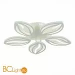 Потолочный светильник EvoLED Seteko SLE501352-05