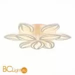 Потолочный светильник EvoLED Seteko SLE501352-09RGB - Фото 0