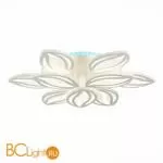 Потолочный светильник EvoLED Seteko SLE501352-09RGB - Фото 1