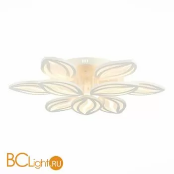 Потолочный светильник EvoLED Seteko SLE501352-09