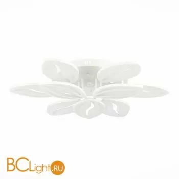 Потолочный светильник EvoLED Seteko SLE501352-09 - Фото 2