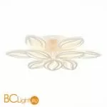 Потолочный светильник EvoLED Seteko SLE501352-09