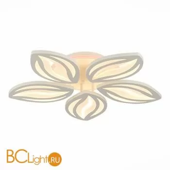 Потолочный светильник EvoLED Seteko SLE501352-05RGB - Фото 0