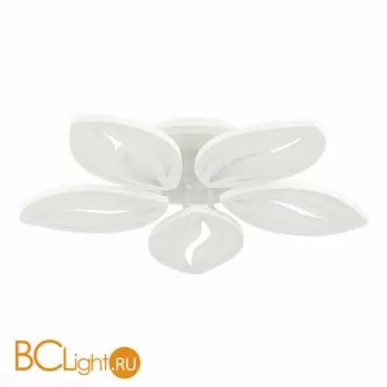 Потолочный светильник EvoLED Seteko SLE501352-05RGB - Фото 2