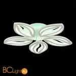 Потолочный светильник EvoLED Seteko SLE501352-05RGB - Фото 5