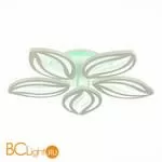 Потолочный светильник EvoLED Seteko SLE501352-05RGB