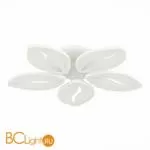 Потолочный светильник EvoLED Seteko SLE501352-05RGB - Фото 2