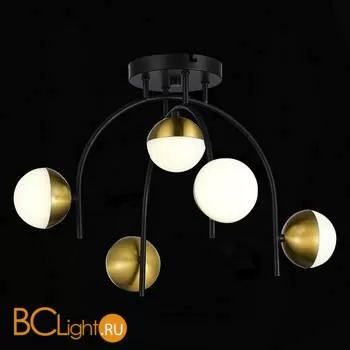 Люстра Evoluce Aarnio SLE6500-402-05 - Фото 2