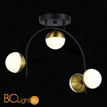 Потолочный светильник Evoluce Aarnio SLE6500-402-04 - Фото 2