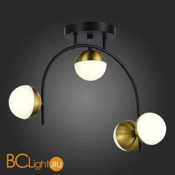 Потолочный светильник Evoluce Aarnio SLE6500-402-04 - Фото 3