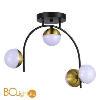 Потолочный светильник Evoluce Aarnio SLE6500-402-04 - Фото 0