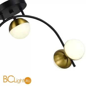 Потолочный светильник Evoluce Aarnio SLE6500-402-04 - Фото 1