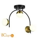 Потолочный светильник Evoluce Aarnio SLE6500-402-04