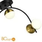 Потолочный светильник Evoluce Aarnio SLE6500-402-04 - Фото 1