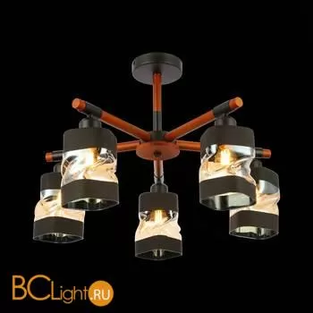 Люстра Evoluce Abiritto SLE114402-05 - Фото 2