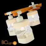 Люстра Evoluce Abiritto SLE114502-05 - Фото 4