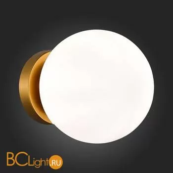 Настенный светильник Evoluce Acini SL717.201.01 - Фото 2