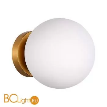 Настенный светильник Evoluce Acini SL717.201.01 - Фото 0