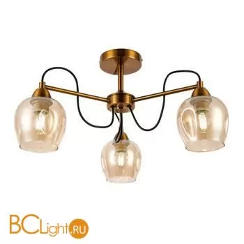 Люстра Evoluce Acro SLE110002-03