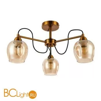 Люстра Evoluce Acro SLE110002-03 - Фото 0