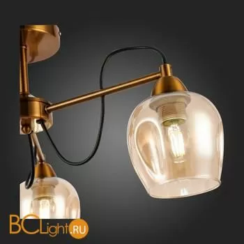 Люстра Evoluce Acro SLE110002-03 - Фото 7