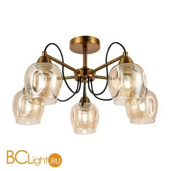 Люстра Evoluce Acro SLE110002-05