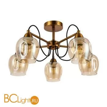 Люстра Evoluce Acro SLE110002-05 - Фото 0