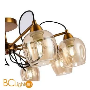 Люстра Evoluce Acro SLE110002-08 - Фото 1