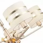 Люстра Evoluce Almese SLE300203-05 - Фото 1