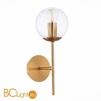 Бра Evoluce Andria SLE220801-01 - Фото 0