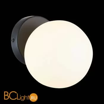 Настенный светильник Evoluce Arcola SLE220101-01 - Фото 1