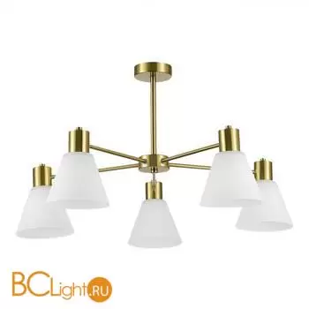 Люстра Evoluce ARKI SLE1561-302-05