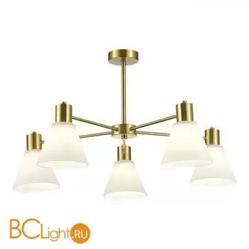 Люстра Evoluce ARKI SLE1561-302-05 - Фото 0