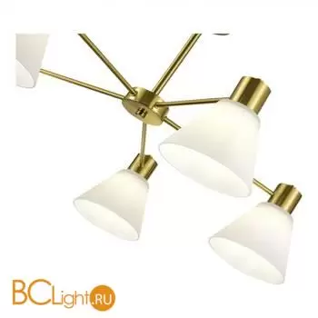 Люстра Evoluce ARKI SLE1561-302-05 - Фото 1