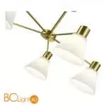 Люстра Evoluce ARKI SLE1561-302-05 - Фото 1