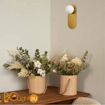 Настенный светильник Evoluce ARKI SLE1194-301-01 - Фото 4