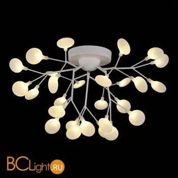 Люстра Evoluce Avola SLE250102-27 - Фото 0