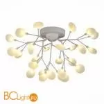 Люстра Evoluce Avola SLE250102-27